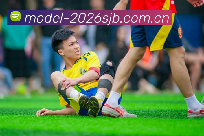 2026世界杯数据服务生态